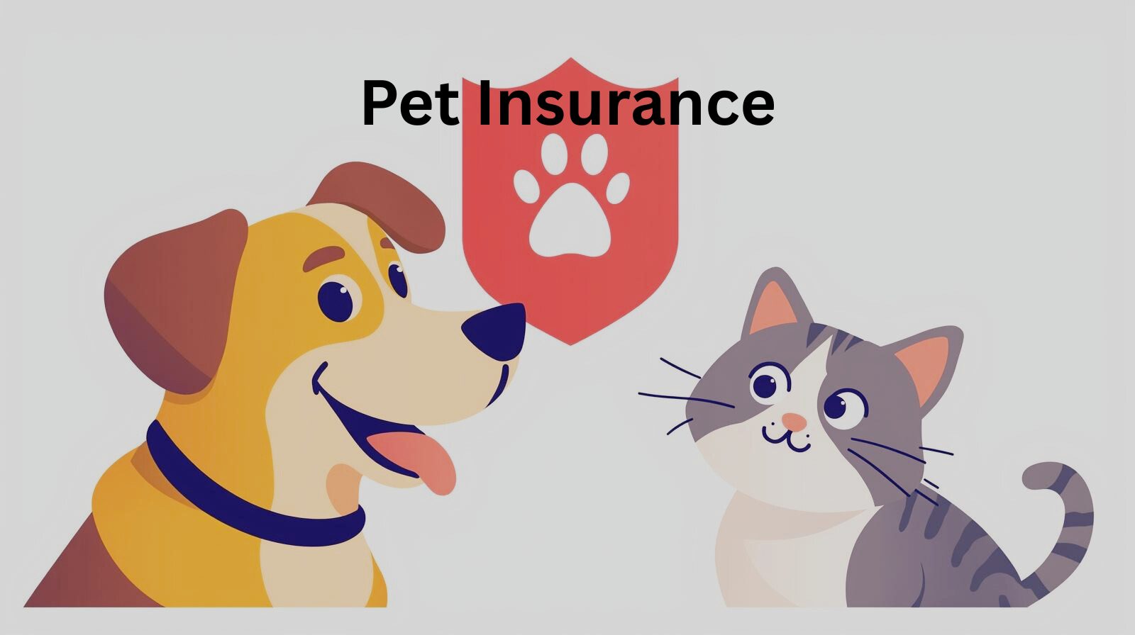 Pet Insurance